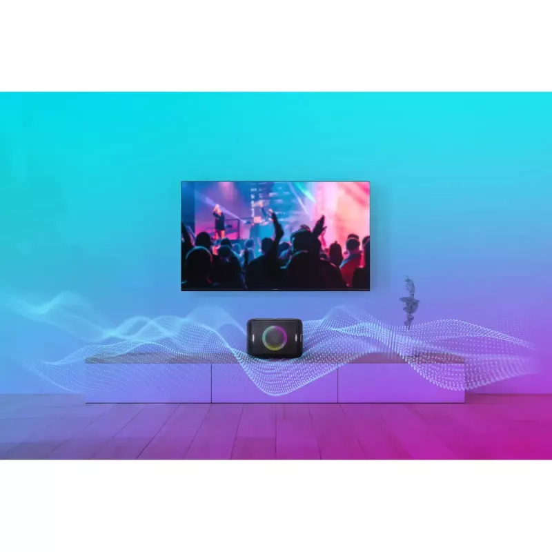 Prenosný stereo reproduktor Panasonic SC-BMAX5E-K čierny