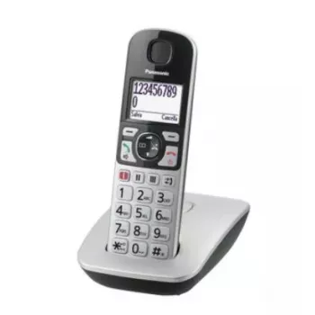 DECT telefón Panasonic KX-TGE510GS