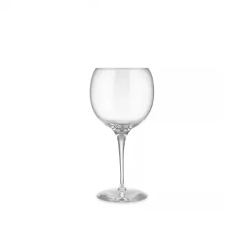 Vínová čaša Alessi SG119/0S4 elegantný dizajn krištáľovo číra