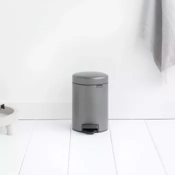 Odpadkový kôš Brabantia 113246 3 L okrúhly platinový