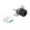 Keystone modul RJ45 konektor samica na LSA DeLOCK 87036