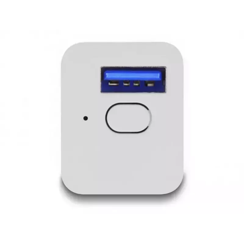 Smart zásuvka DeLOCK 11828 interiér Wi-Fi 2 A biela
