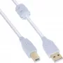 InLine USB 2.0 kábel Type-A konektor samec / B konektor samec, pozlátený, s feritom, biely, 0,5 m