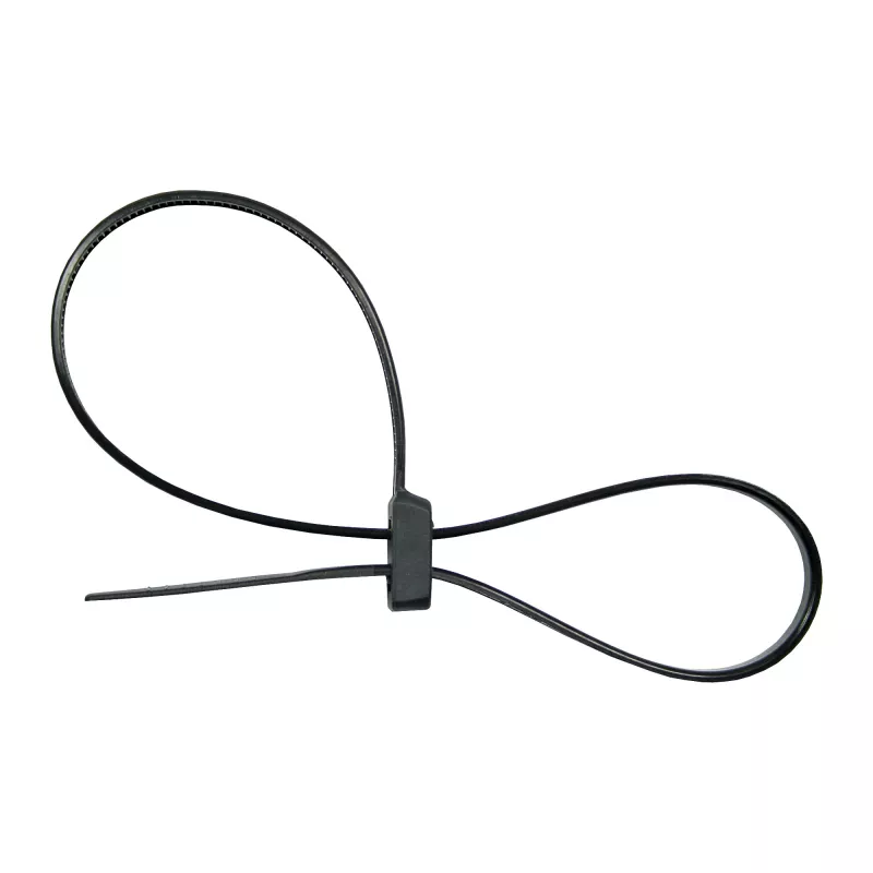 InLine montovateľné dvojhlavé viazacie pásky na káble 300 mm x 4,8 mm, nylon, čierna, 100 ks