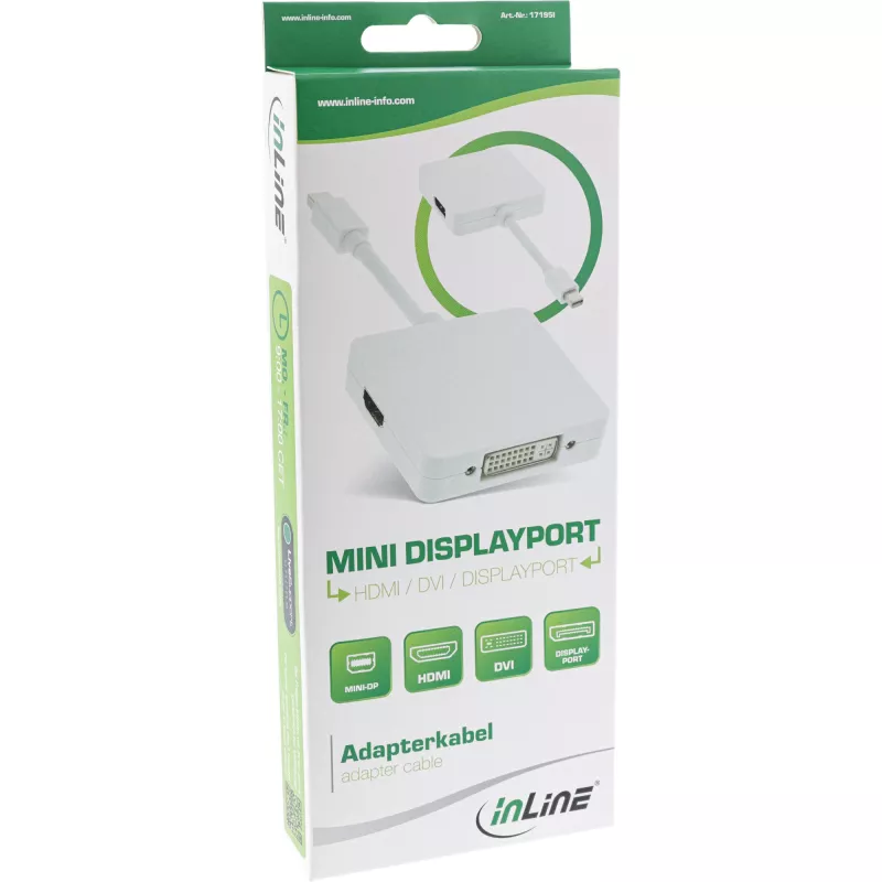 InLine Mini DisplayPort na HDMI DVI DisplayPort adaptérový kábel 17195I