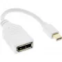 InLine Mini DisplayPort konektor samec na DisplayPort konektor samica kábel, 4K2K, biely, 0,15 m