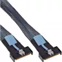 InLine 27661C Serial Attached SCSI (SAS) kábel 1 m 24 Gbit/s čierna, modrá, sivá