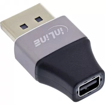 InLine 17291B Káblový adaptér DisplayPort Mini DisplayPort čierny, sivý