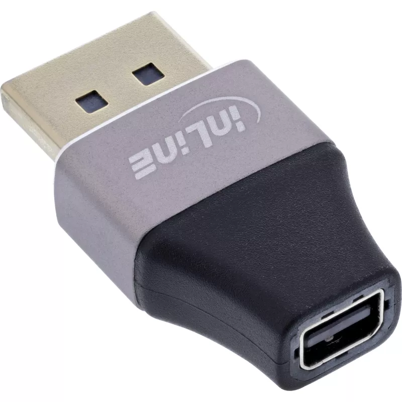 InLine 17291B Káblový adaptér DisplayPort Mini DisplayPort čierny, sivý