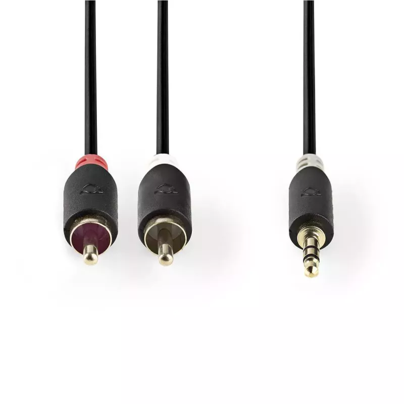Audio kábel Nedis CABW22200AT10 1 m 3,5 mm 2xRCA antracitový