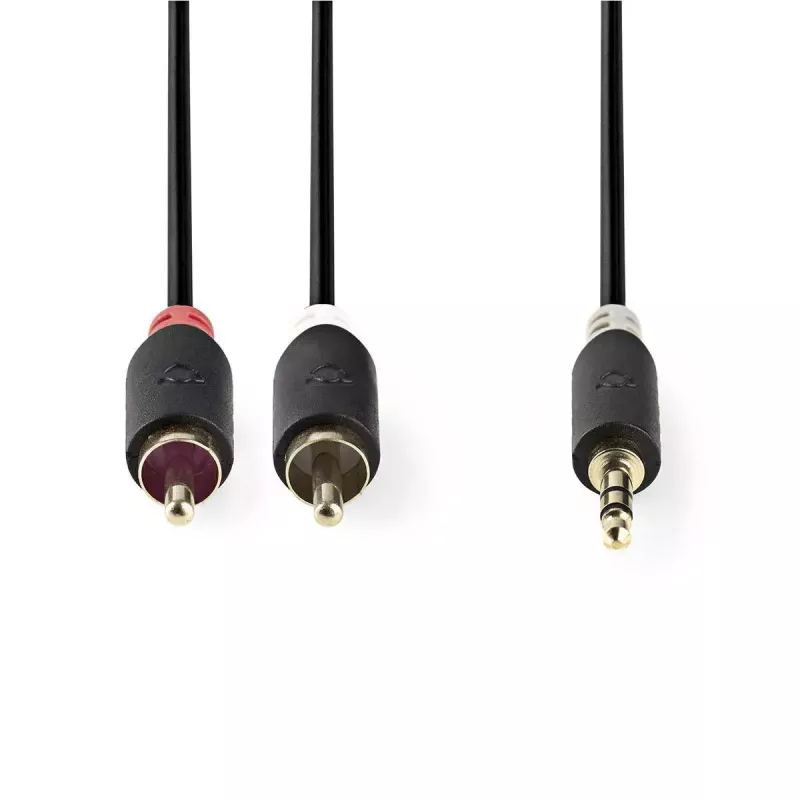 Audio kábel Nedis CABW22200AT20 2 m 3,5 mm 2 x RCA antracitový