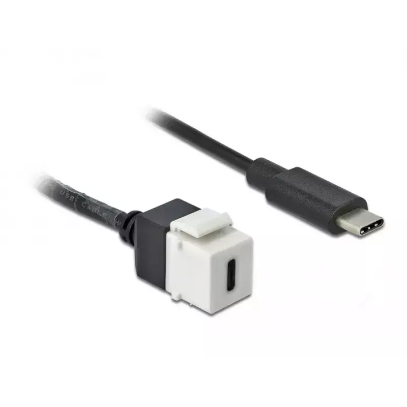 Keystone modul DeLOCK 86399 plochý čierny biely USB C