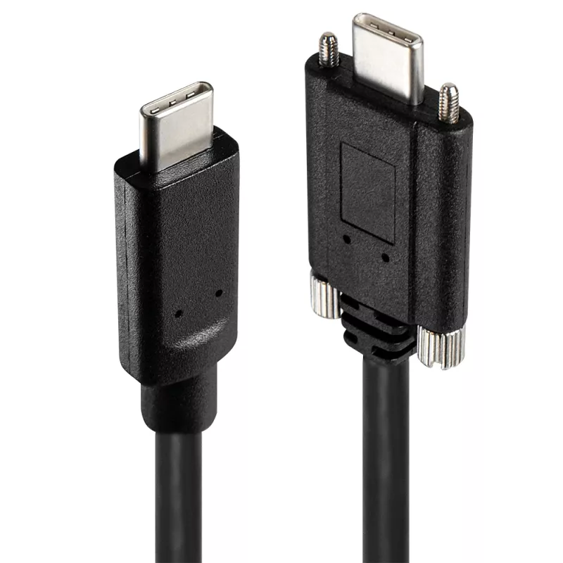 USB hub Lindy 4 port USB 3.2 Gen 2 Type-C kovový hub