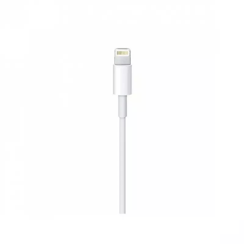 Kábel Apple Lightning na USB-C (2 m) MKQ42ZM/A