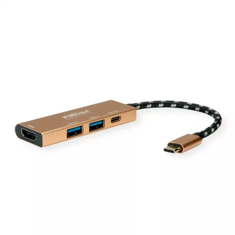 Laptop dock ROLINE 12.02.1119