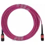 BlueOptics AV28-BO Multimódový optický trunk kábel, MPO/UPC na MPO/UPC, OM4, 15 m, purpurový