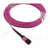 Sklenené vlákno kábel MPO BlueOptics CBL-MPO12-OM4-20M-BO 20 m OM4