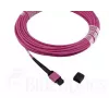 Sklenené vlákno kábel MPO BlueOptics CBL-MPO12-OM4-20M-BO 20 m OM4