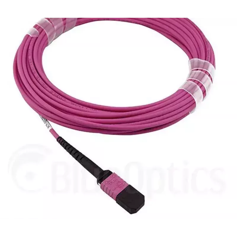 Optický kábel MPO BlueOptics CBL-MPO12-OM4-5M-BO 5 m OM4 50 µm