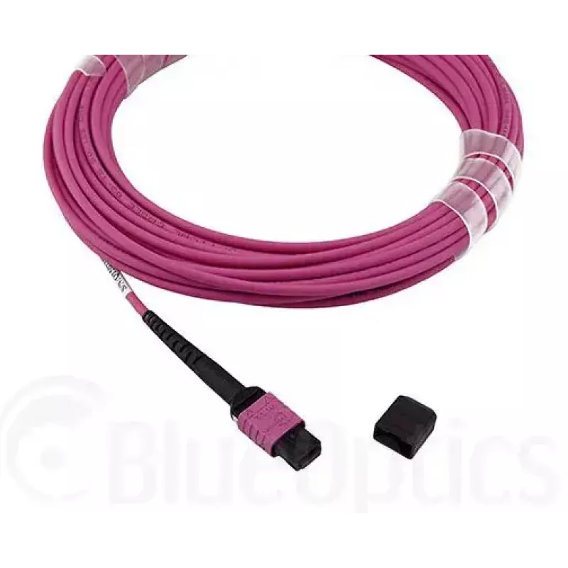 Optický kábel MPO BlueOptics CBL-MPO12-OM4-5M-BO 5 m OM4 50 µm