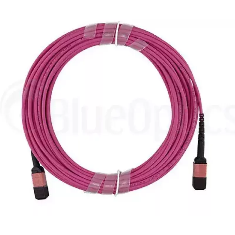 Optický kábel MPO BlueOptics CBL-MPO12-OM4-5M-BO 5 m OM4 50 µm