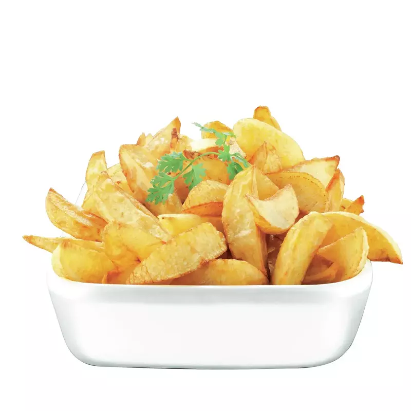 Tefal FR4800 samostatné zariadenie stand-alone 2100 W fritéza nerezová oceľ, biela