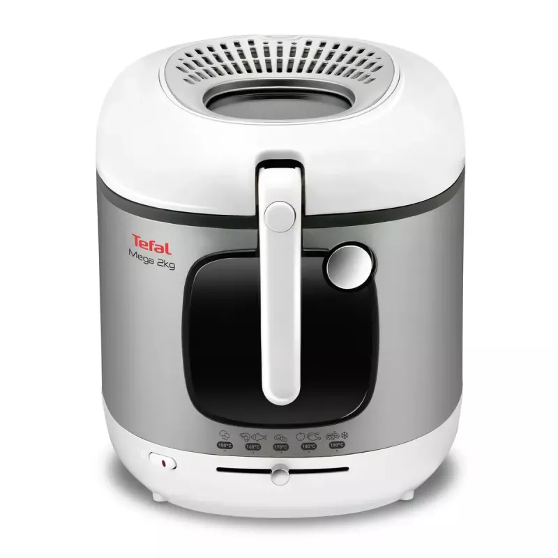 Tefal FR4800 samostatné zariadenie stand-alone 2100 W fritéza nerezová oceľ, biela