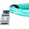 BlueOptics SFP-10G-AOC1M-BO InfiniBand/optický kábel 1 m SFP+