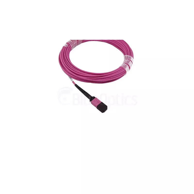 BlueOptics SFP5252FU2MKB InfiniBand sklenené vlákno kábel 2 m MPO OM4