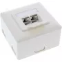 InLine zásuvka do steny Cat.6A na povrch 2x RJ45 konektor samica RAL9010 biela