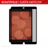 Displex TABLET PRIVACY SAFE odnímateľný obojsmerný filter proti videniu pre iPad 10,2'' (7./8./9. gen.)