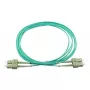 BlueOptics SFP3232EU1MK InfiniBand kábel z sklenených vlákien 1 m SC zelený