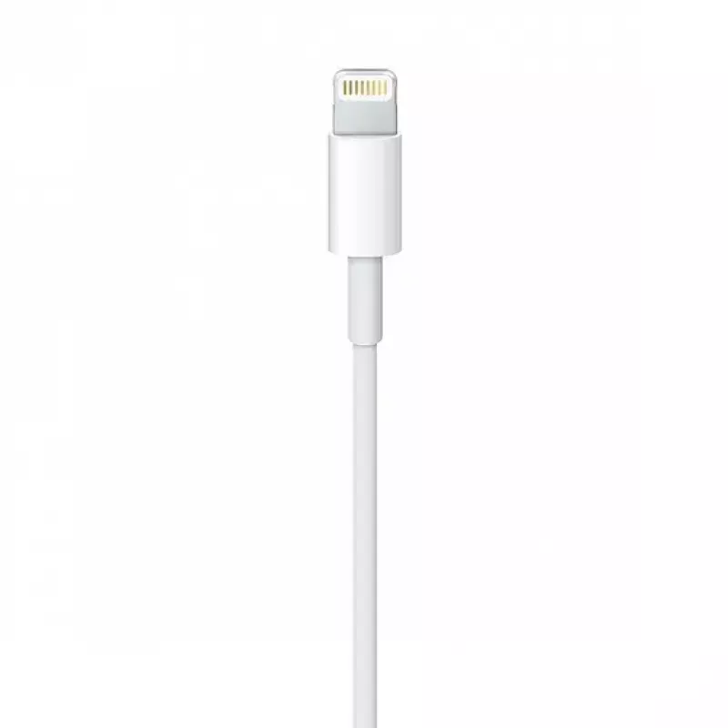 Kábel Apple MQUE2ZM 1m biely