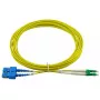BlueOptics SFP3132BU3MX InfiniBand optický kábel 3 m LC SC