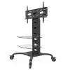 Techly ICA-TR8 Stojan na signage displej 177,8 cm (70 inch) čierny
