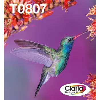 Multipack atramentových náplní Epson Hummingbird T0807 — 6 farieb (čierna, cyan, svetlomodrá, svetlofialová, purpurová, žltá)