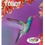 Multipack atramentových náplní Epson Hummingbird T0807 — 6 farieb (čierna, cyan, svetlomodrá, svetlofialová, purpurová, žltá)