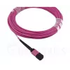 BlueOptics EMC CBL-MPO12-4LC-OM4-2M optický kábel MPO 4x LC 2m