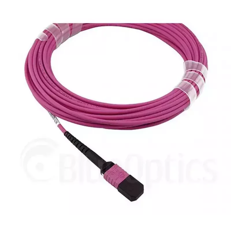 BlueOptics EMC CBL-MPO12-4LC-OM4-2M optický kábel MPO 4x LC 2m
