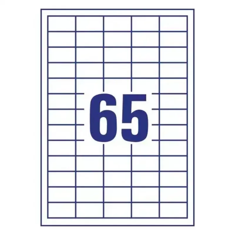 Samolepiace etikety obdĺžnikové AVERY LR3666-10