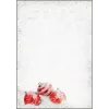 Tlačový papier A4 Sigel DP247 100 listov viacfarebný