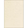 Kunstdruckpapier Sigel DP605 100 listov béžový 90 g/m²