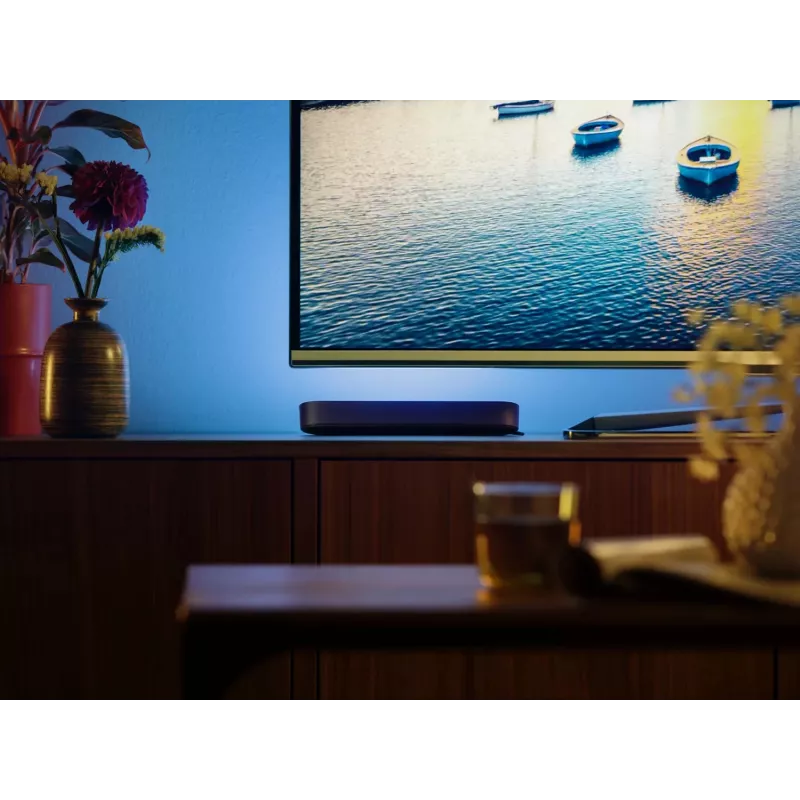 Philips Hue Play light bars Starter-Kit – 2 Play light bars + Hue Bridge Pro, Bluetooth, čierna, Type-C konektor