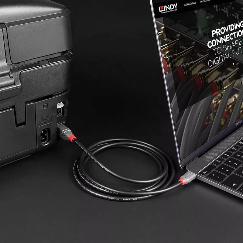 Lindy 2m USB 2.0 Type-C na B kábel, Anthra Line, 2 m, USB C, USB B, USB 2.0, 0,48 Gbit/s, čierna