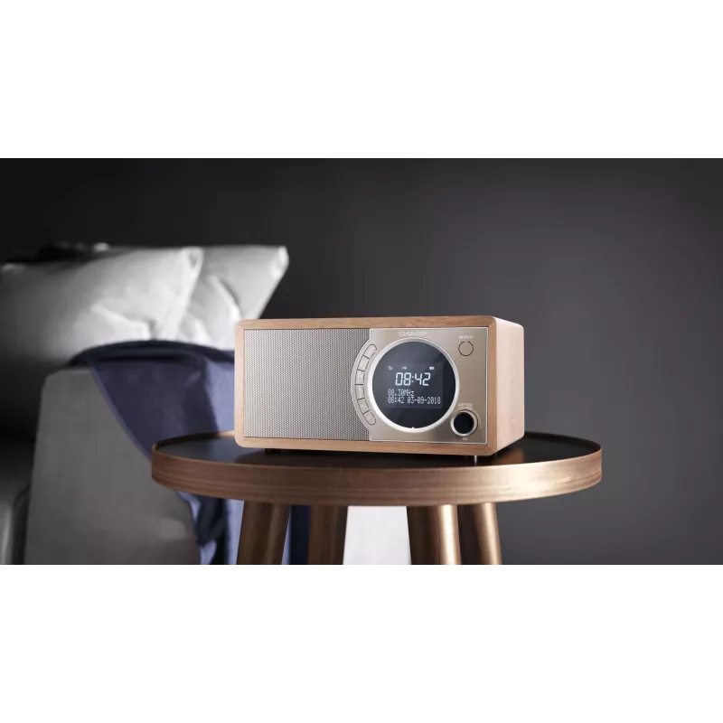 Sharp DR-450 osobný digitálny hnedý, nerezová oceľ