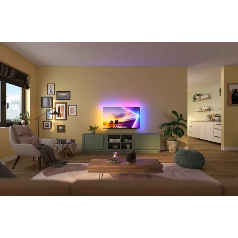 TV Philips 43PUS8450/12 43