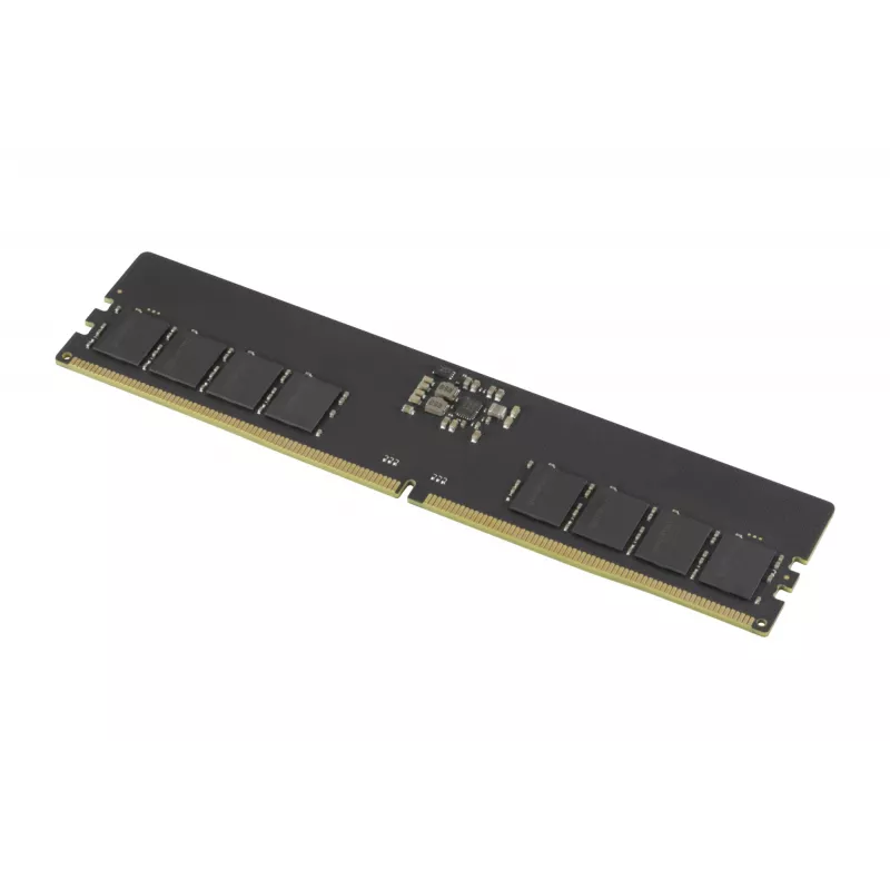 Goodram Pami DDR5 16GB/4800 CL40 - 16 GB pamäťový modul 1 x 16 GB 288-Pin DIMM ECC