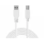 Sandberg USB 3.0 A-B kábel 1,8 m, 1,8 m, USB A, USB B, USB 3.2 Gen 1 (3.1 Gen 1), 5 Gbit/s, biely