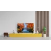 TCL 32V4C QLED TV 32 palcov (81,3 cm) HD 1366×768 Wi‑Fi Ethernet čierna