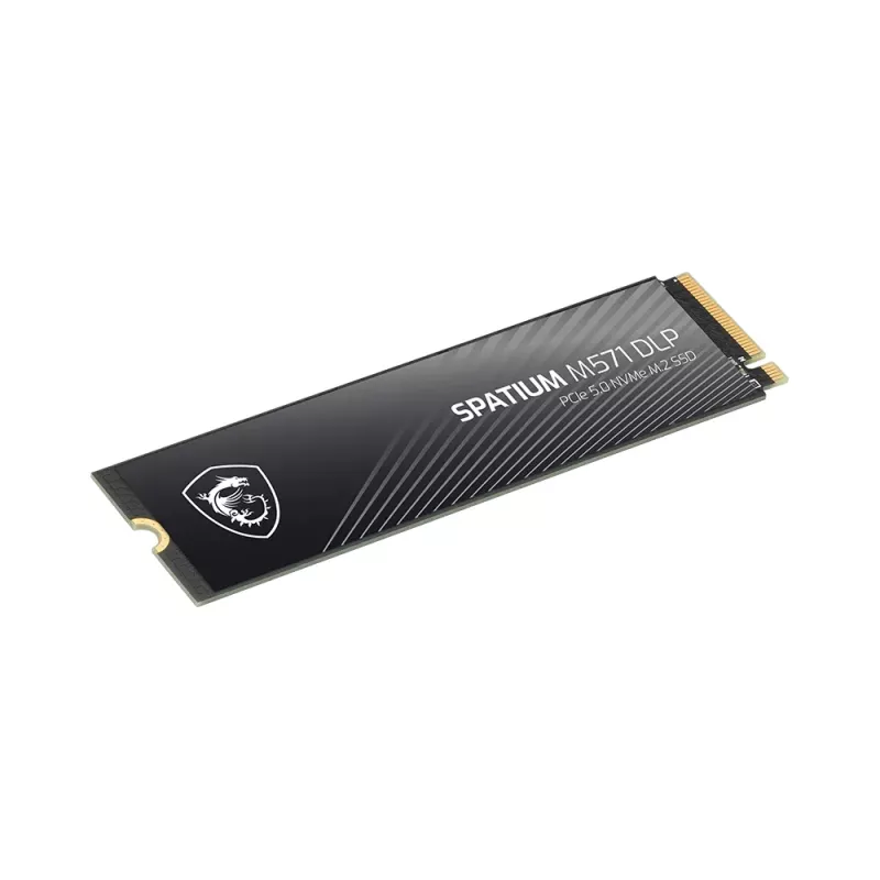 MSI SPATIUM M571 DLP PCIe 5.0 NVMe M.2 4T interný solid-state disk 4 TB PCI Express 5.0 3D NAND